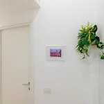 Contessa Elegance Apartamento Roma