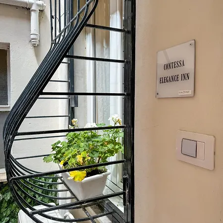 Contessa Elegance *